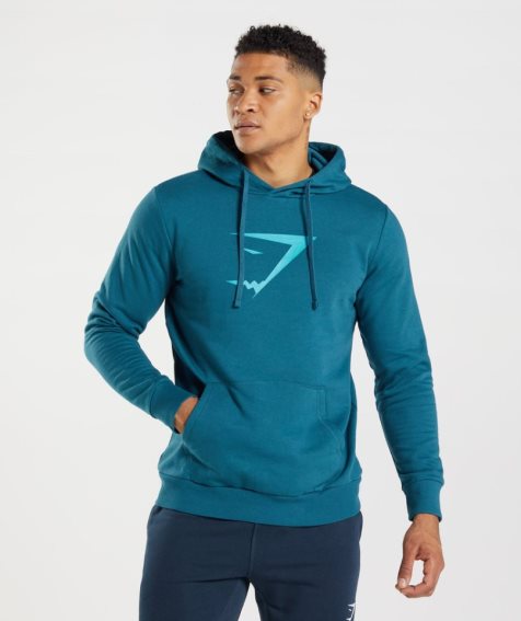 Men's Gymshark Sharkhead Infill Hoodie Blue | CA NDA801